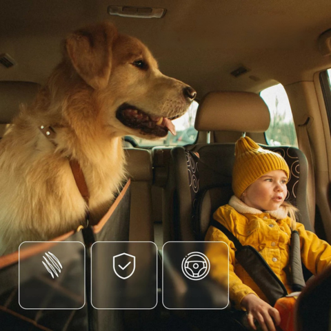 Car Seat Cover for Dog — Comfort & Safety Every Day