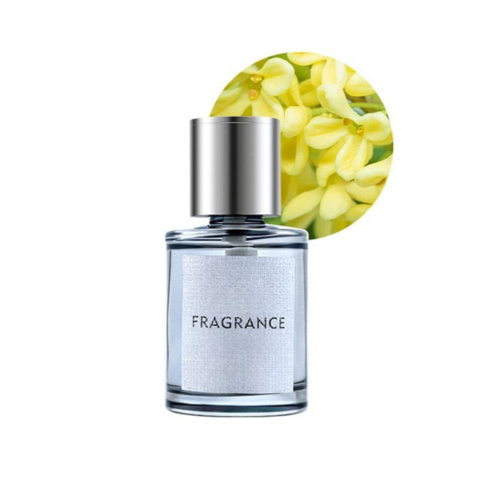 Aromatizér do auta – Vôňa a štýl