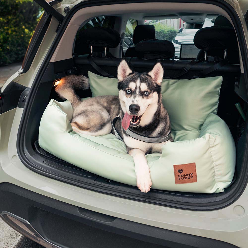 Dog Car Seat — Travel Together Safely 