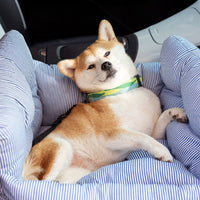 Siège Auto Pour Chien – Confort Optimal En Déplacement