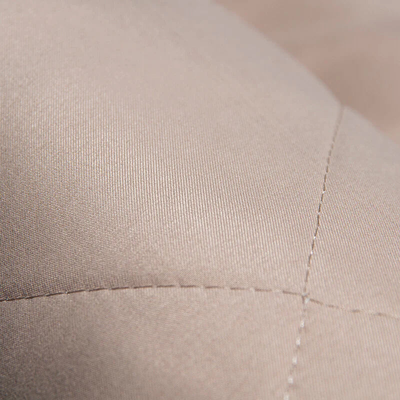 Protector de asiento de coche para mascotas - Instalación fácil y segura