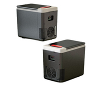 Mini Frigider Portabil Pentru Mașină – Compact și Practic 